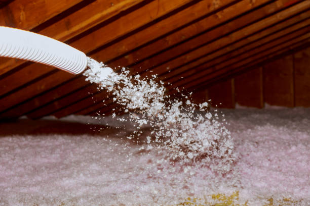 Best Specialized Insulation Services in Inverness, FL