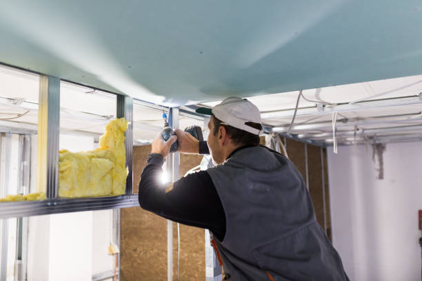 Best Blown-in Insulation in Inverness, FL