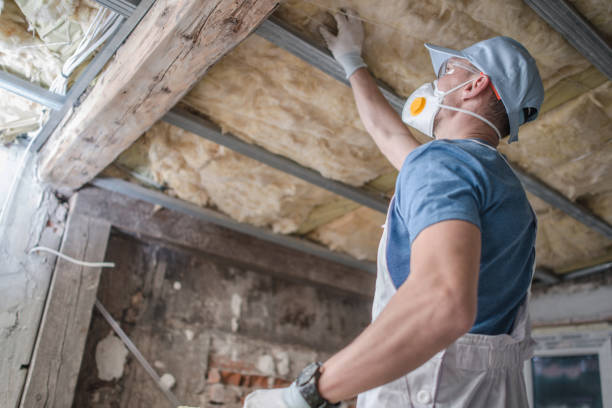 Best Insulation for Specific Applications in Inverness, FL