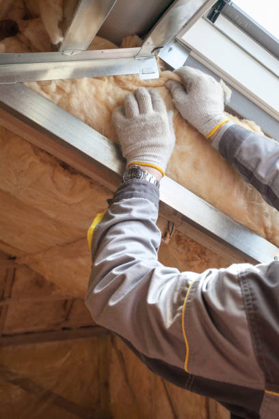 Best Residential Insulation in Inverness, FL