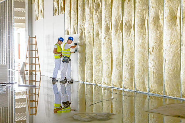 Best Cellulose Insulation in Inverness, FL